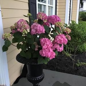 Meet your Posher, Maryann